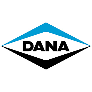 317125 Кільце гумове DANA